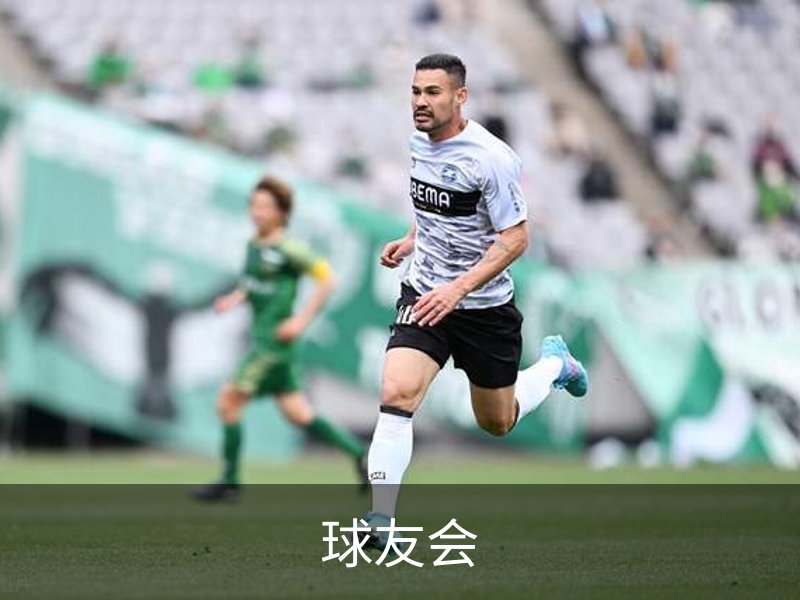 球友会概况